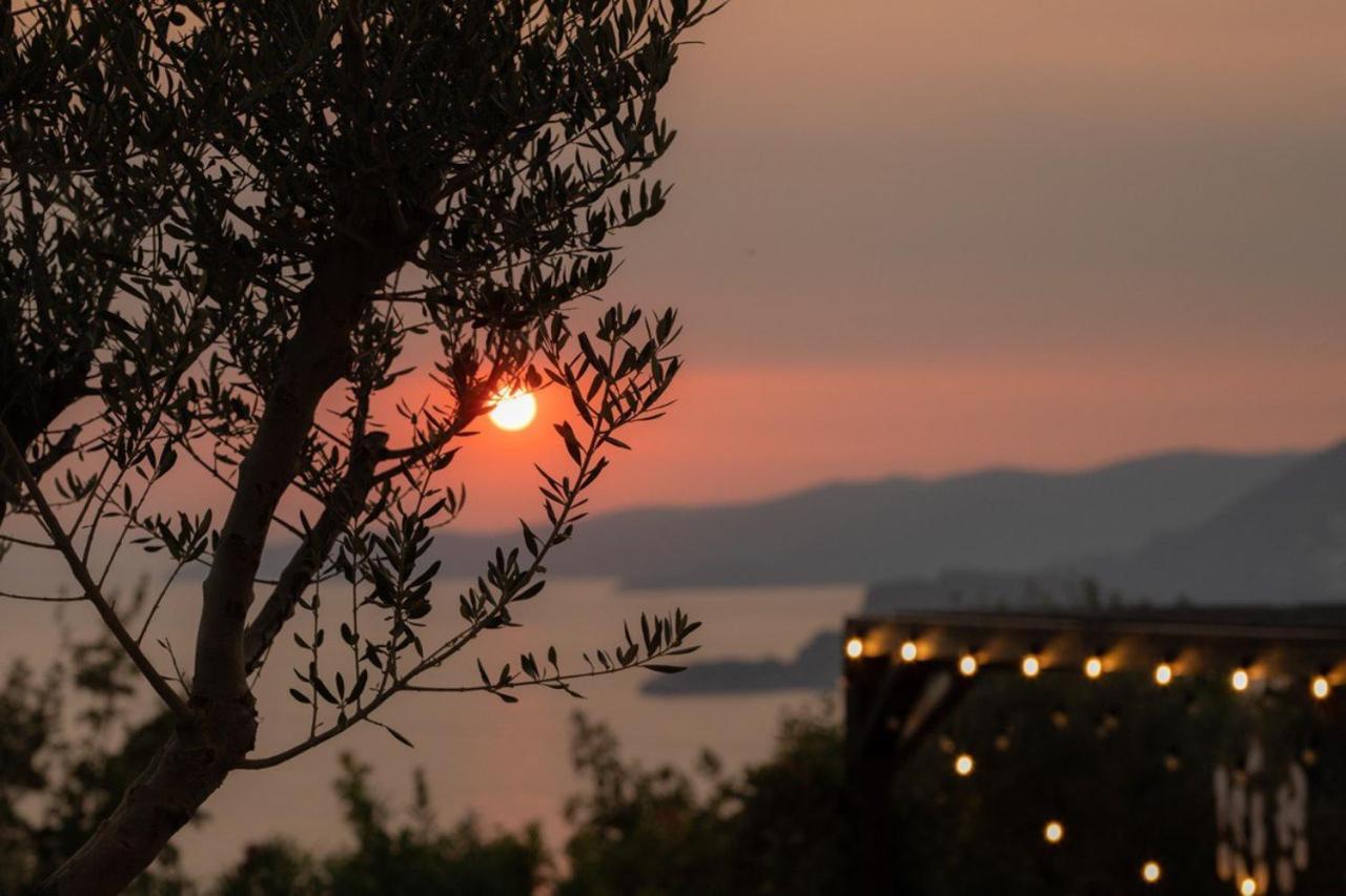 Vila Agata Budva